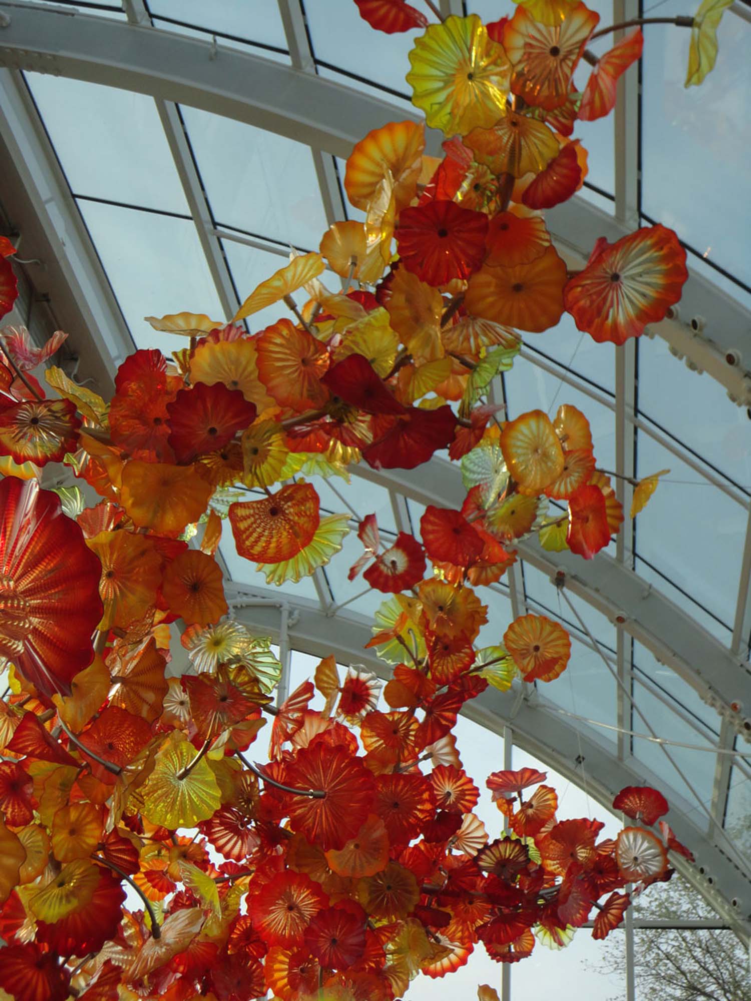 CHIHULY GARDEN + GLASS